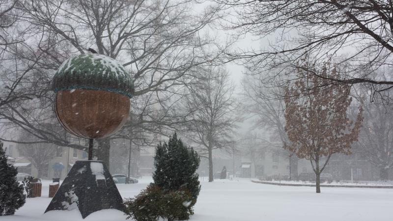 Snow Cover the Raleigh Acorn in Moore Square